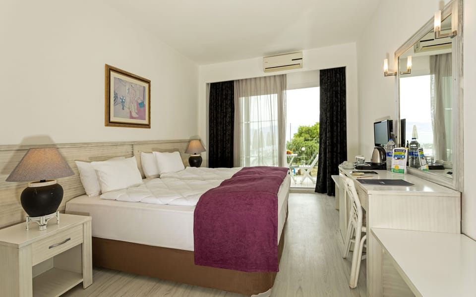 Standard Double Room | Minibar, in-room safe, cribs (free), WiFi (free)
