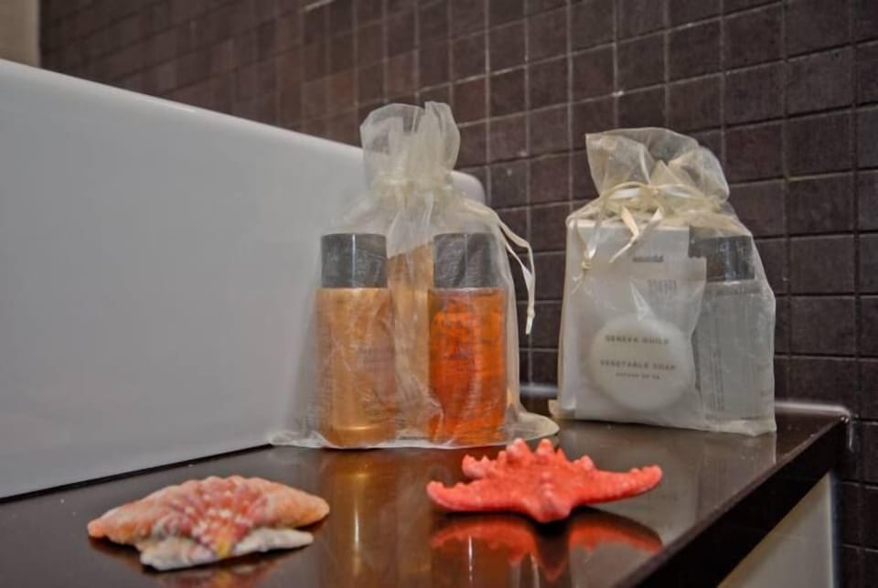 Shower, hydromassage showerhead, free toiletries, hair dryer