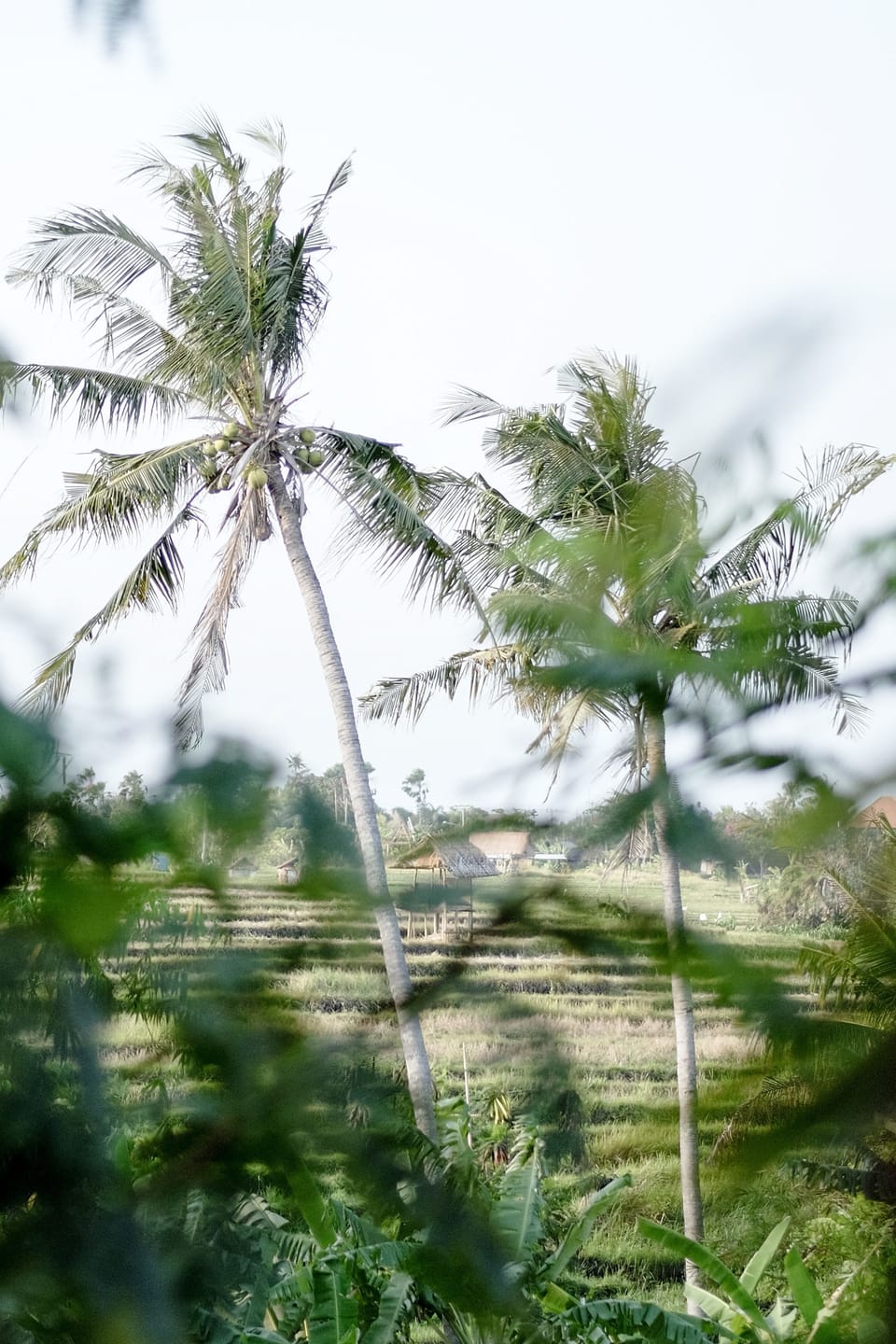 Villa, 1 Bedroom | Garden view