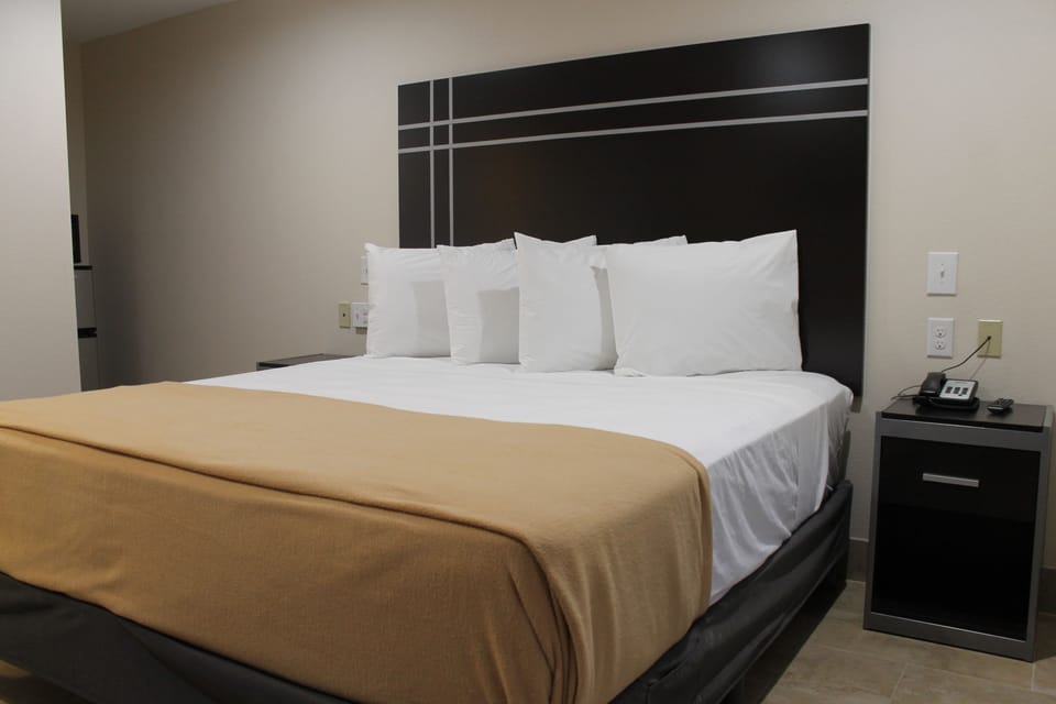 Room, 1 King Bed, Non Smoking | Premium bedding, desk, iron/ironing board (on request), WiFi (free)