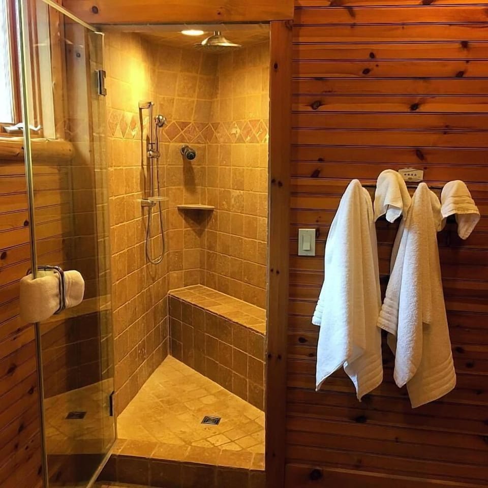 Separate tub and shower, jetted tub, hydromassage showerhead