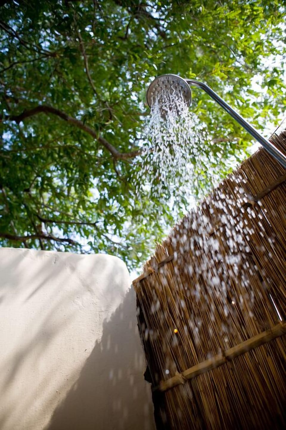 Exclusive Tree House, 2 Bedrooms (Jackalberry) | Bathroom | Shower, eco-friendly toiletries, towels, soap