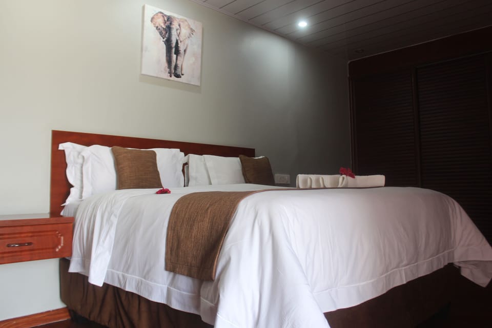 Executive Double Room, 1 King Bed | In-room safe, laptop workspace, iron/ironing board (on request)