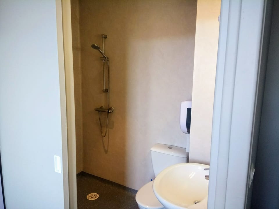 Twin Room | Bathroom | Shower, free toiletries, towels