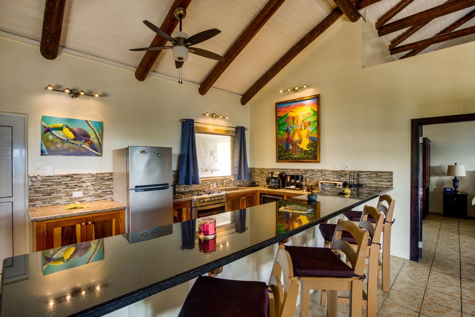 Presidential Suite, 1 King Bed with Sofa bed, Kitchen, Sea View | Private kitchen | Fridge, coffee/tea maker