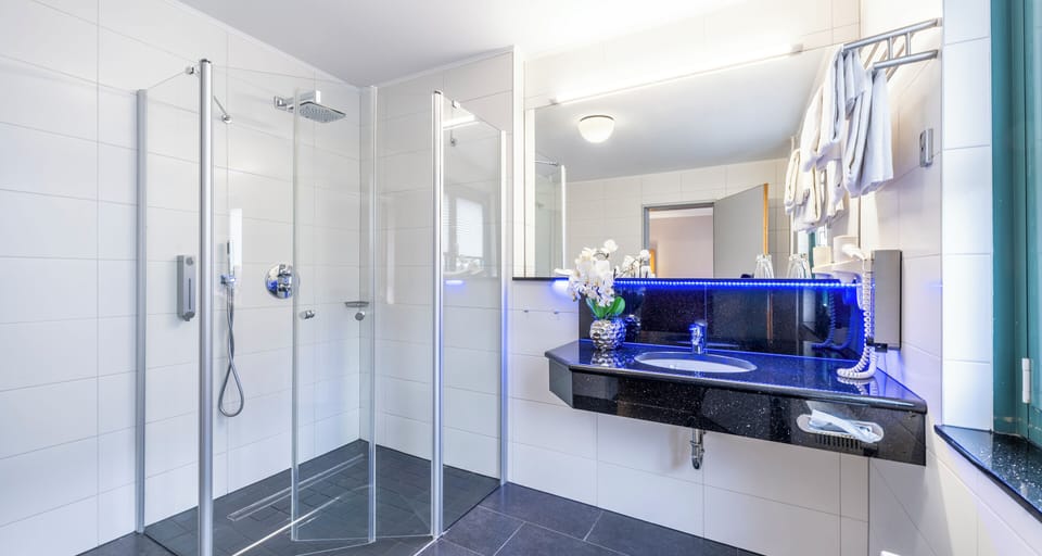 Comfort Triple Room | Bathroom | Shower, rainfall showerhead, hair dryer, towels