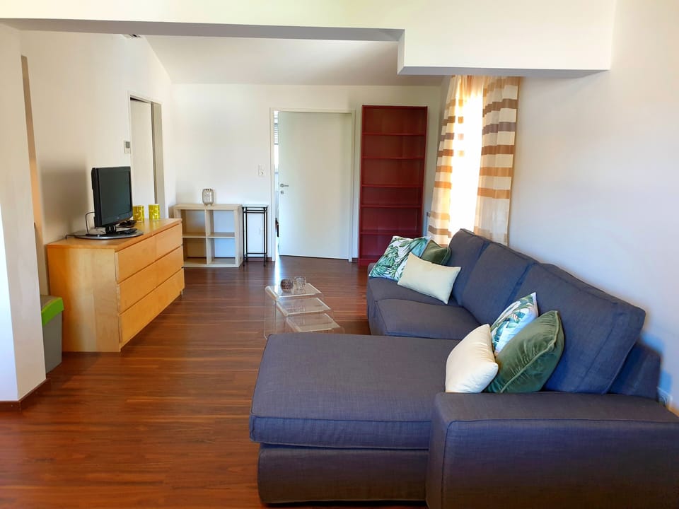Deluxe Apartment | Living area | TV