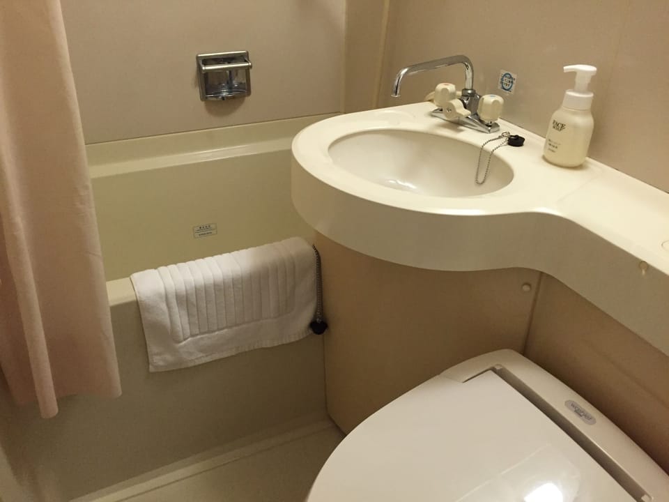 Combined shower/tub, free toiletries, hair dryer, slippers