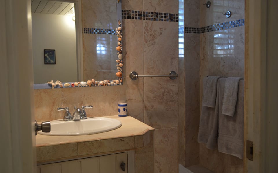 Apartment | Bathroom | Shower, hair dryer, towels
