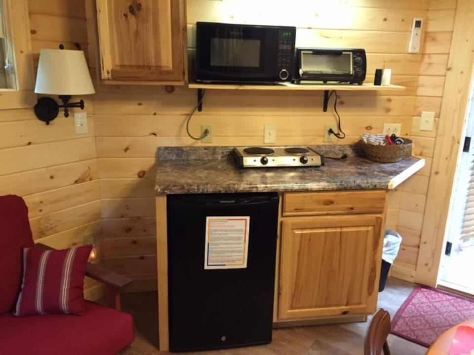Panoramic Tree House, 1 Bedroom, Hot Tub, Mountainside | Private kitchenette | Full-size fridge, microwave, oven, stovetop