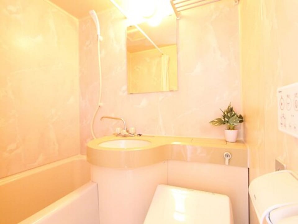 Combined shower/tub, free toiletries, hair dryer, slippers