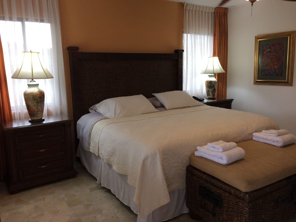 Deluxe Single Room, 1 Queen Bed | Premium bedding, minibar, in-room safe, desk