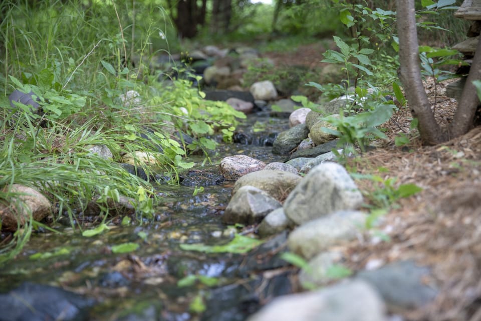 Suite, 1 Queen Bed with Sofa bed, Kitchenette, Ground Floor | Terrace/patio