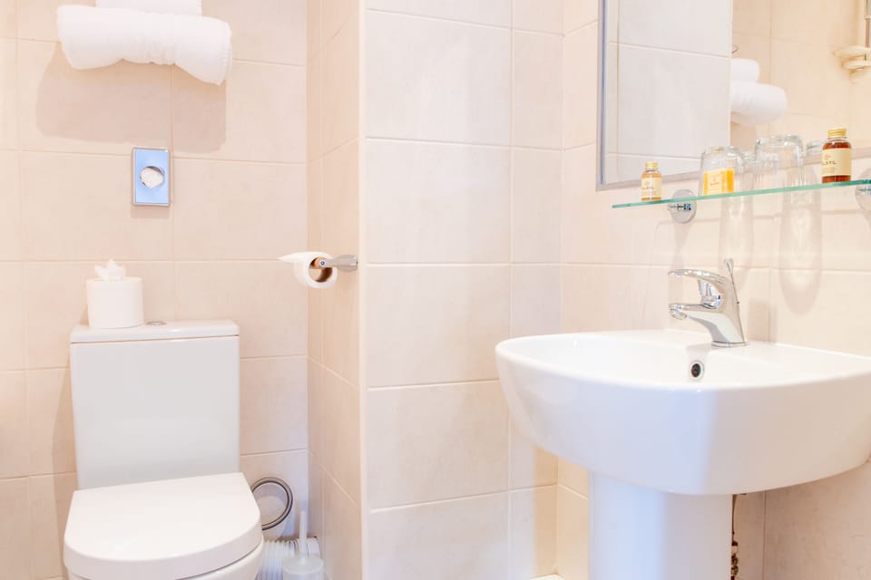 Combined shower/tub, eco-friendly toiletries, hair dryer, towels
