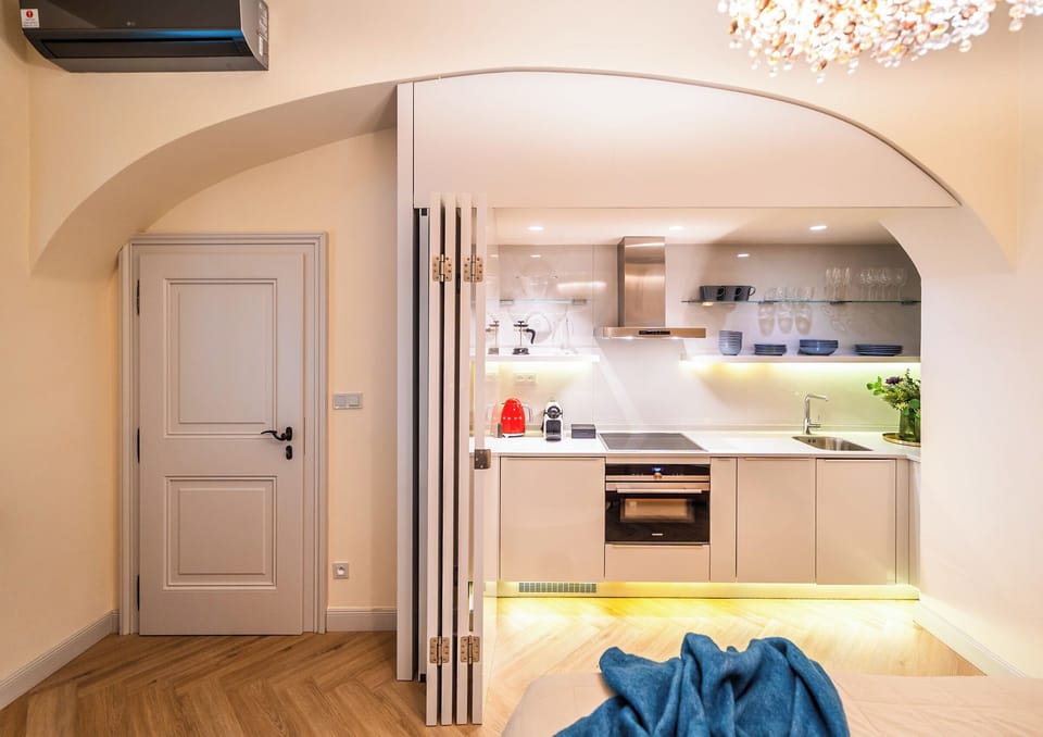 Superior Studio | Private kitchen | Full-size fridge, microwave, oven, stovetop
