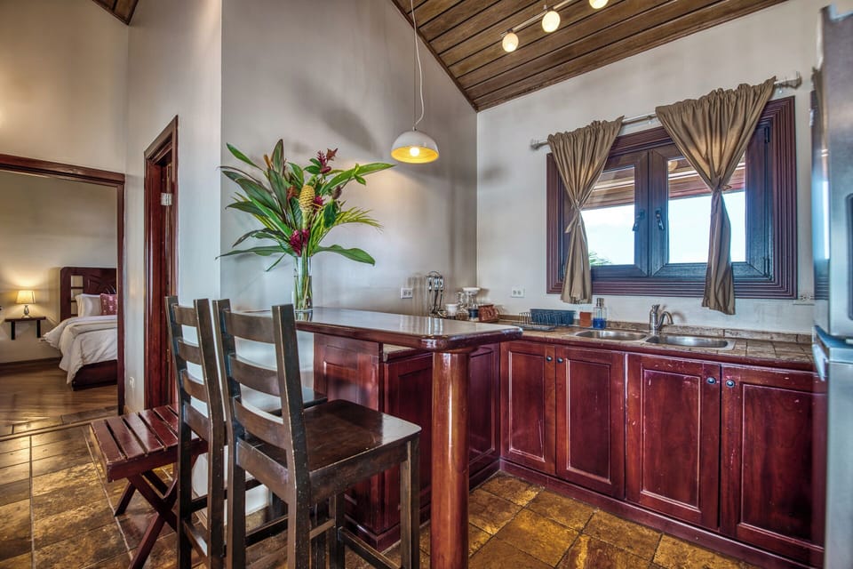 Penthouse Suite | Private kitchen | Coffee/tea maker, freezer