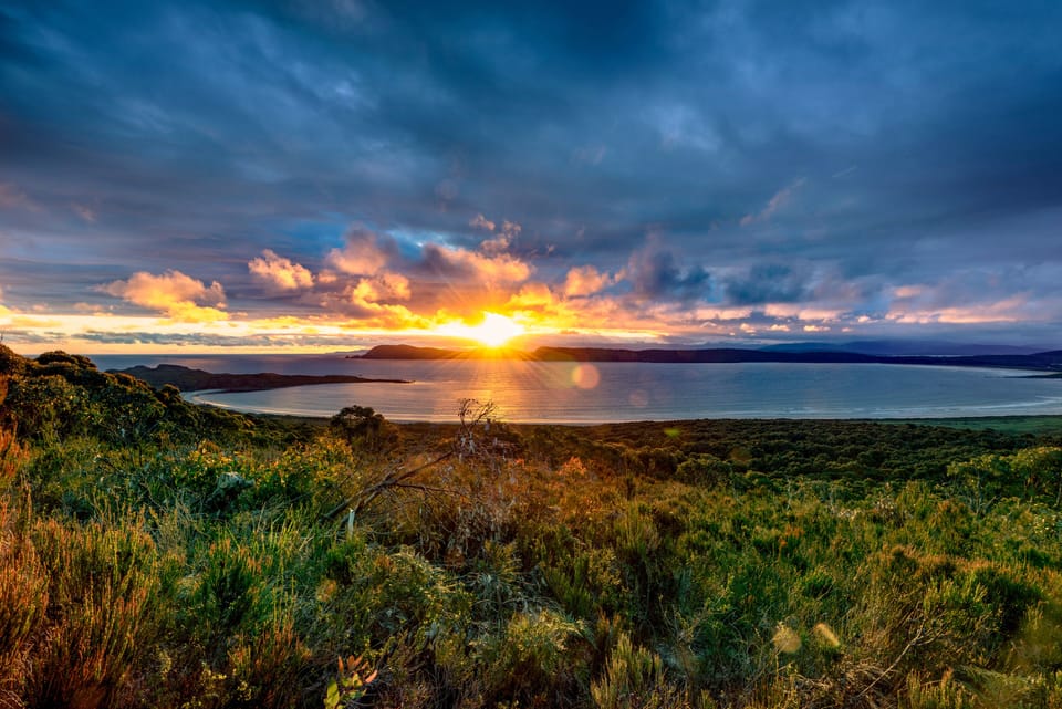 Standard Cabin | Beach/ocean view