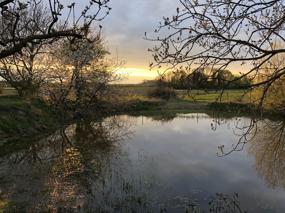 Lake view