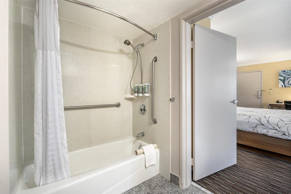 Shower, eco-friendly toiletries, hair dryer, towels