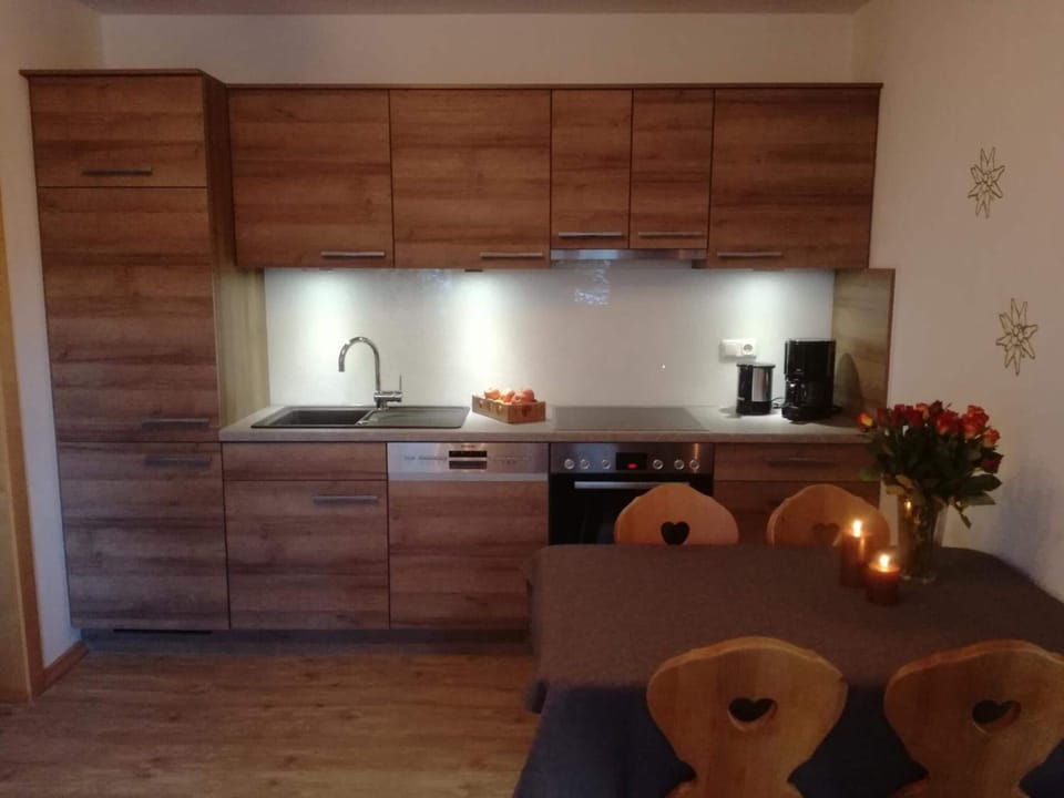 Full-size fridge, oven, stovetop, dishwasher