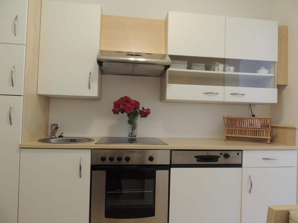 Full-size fridge, oven, stovetop, dishwasher