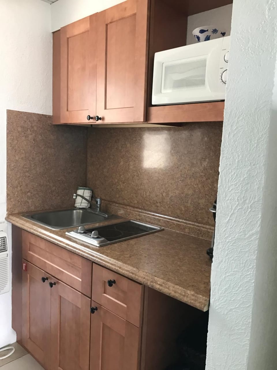 Fridge, microwave