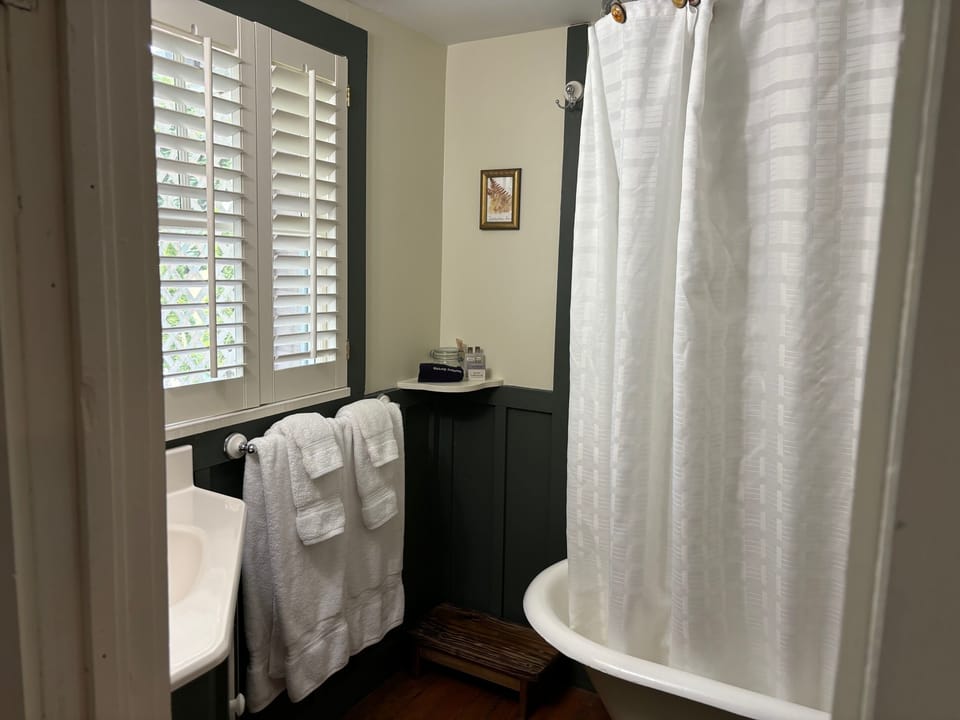 Standard Double Room, Private Bathroom (Stems & Petals) | Bathroom