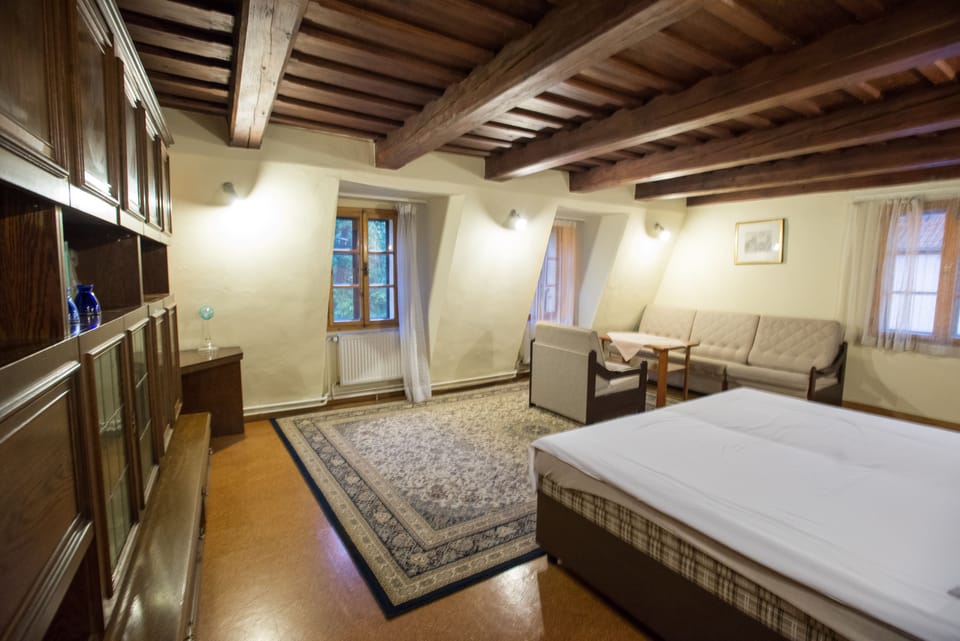 9 bedrooms, minibar, desk, free WiFi