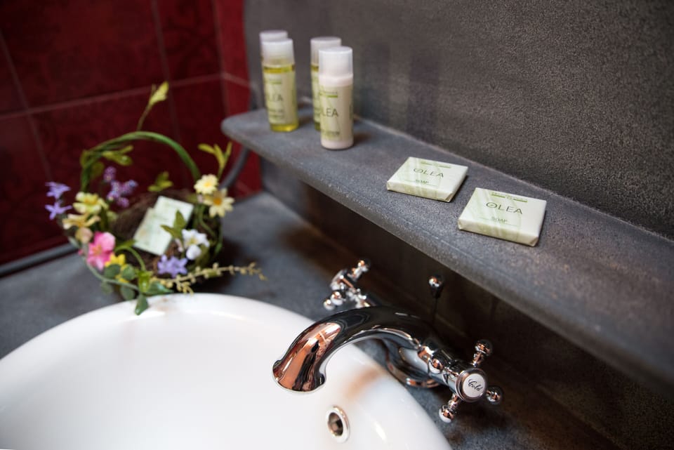 Rainfall showerhead, free toiletries, hair dryer, bidet