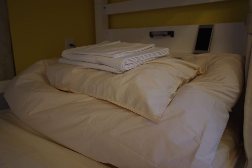 Economy Shared Dormitory, Women only | Down comforters, iron/ironing board (on request), WiFi (free)