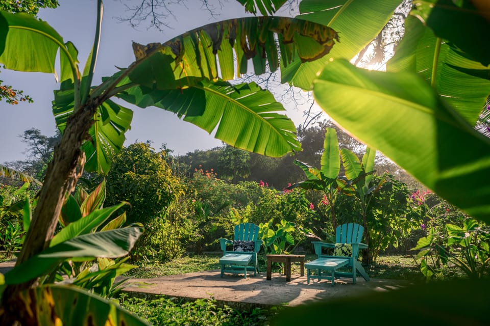 The Hummingbird Bed and Breakfast in Bocas del Toro Province