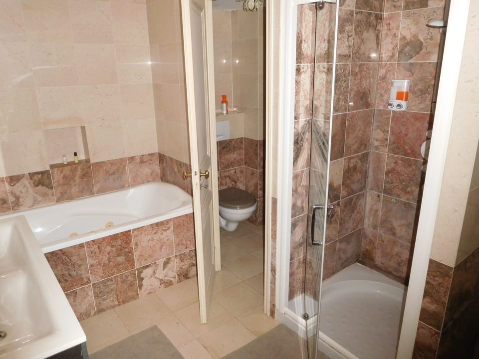 Comfort Double Room, Private Bathroom, Garden Area (Gustave Eiffel) | Bathroom shower