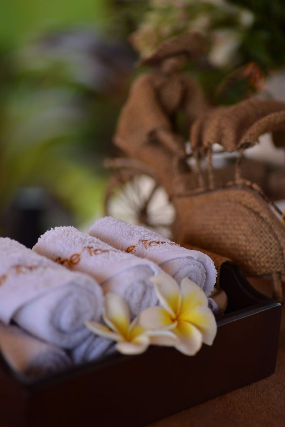 Property amenity