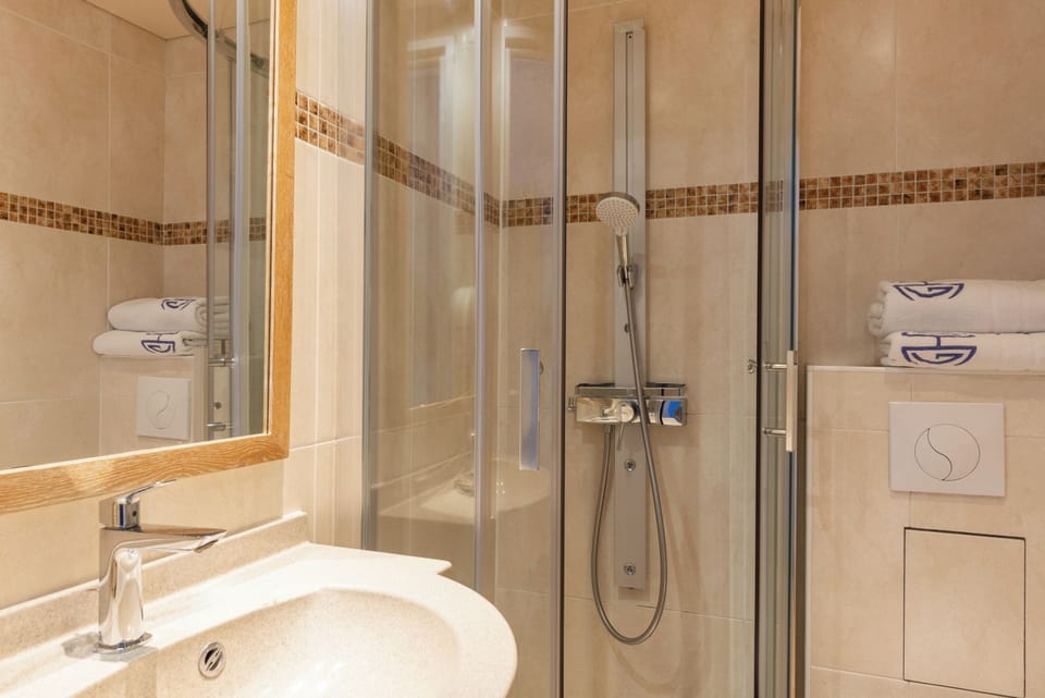 Classic Double Room | Bathroom | Shower, free toiletries, hair dryer, towels