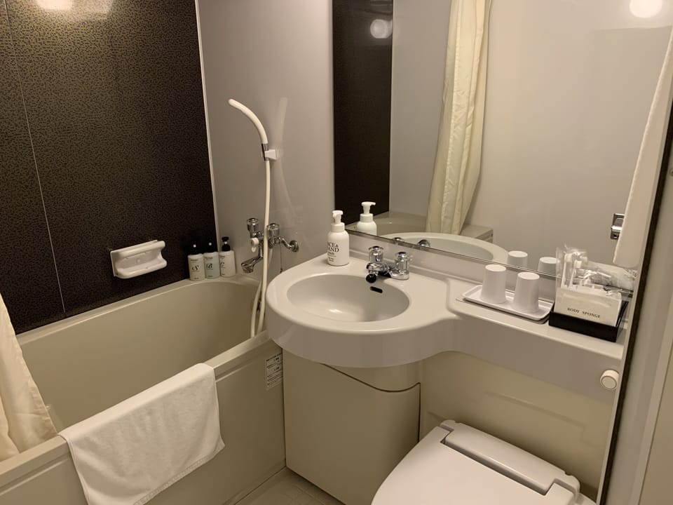 Combined shower/tub, free toiletries, hair dryer, slippers