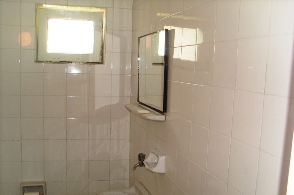 Shower, hair dryer