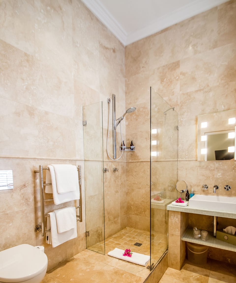 Standard Double or Twin Room | Bathroom shower