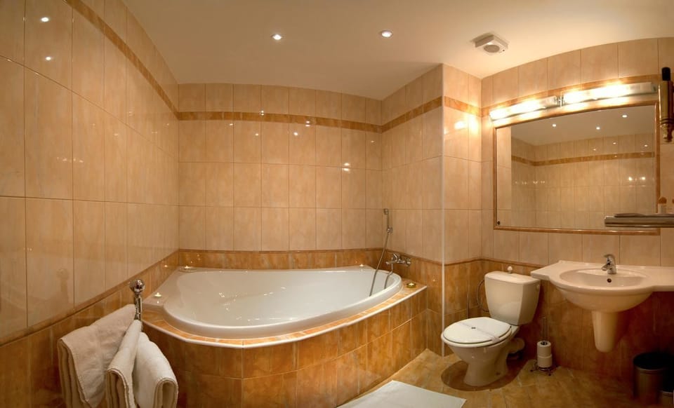VIP Apartment | Bathroom | Spring water tub, free toiletries, towels