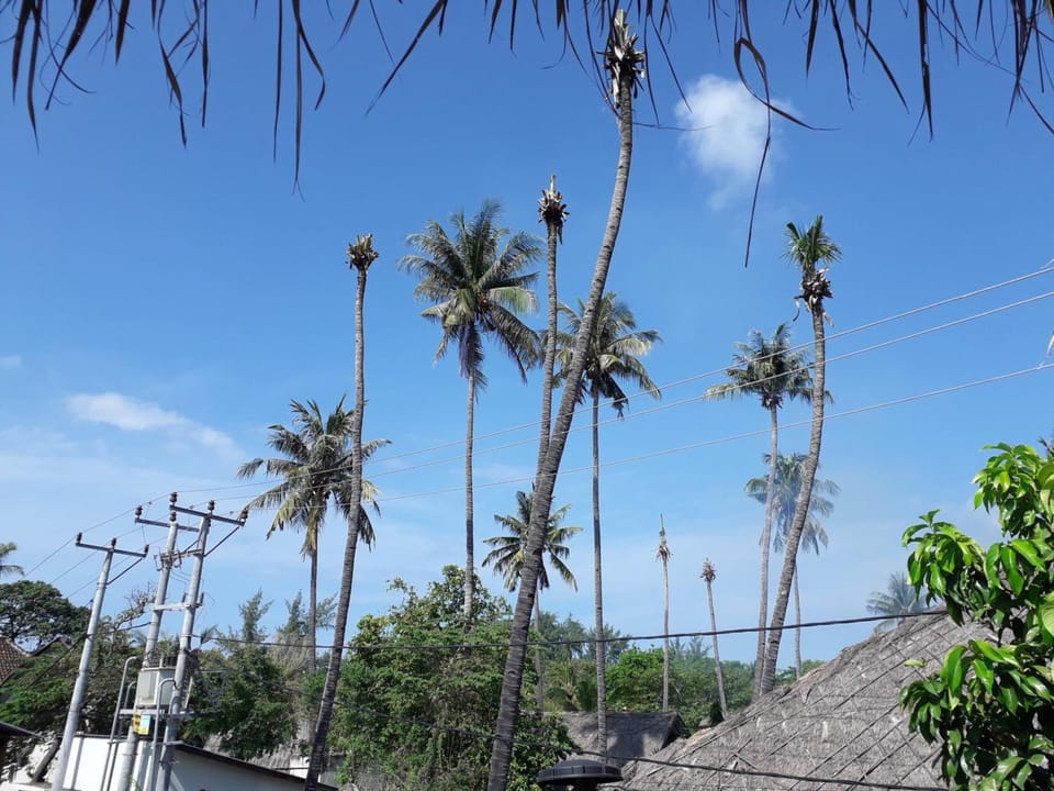 Beach nearby, fishing