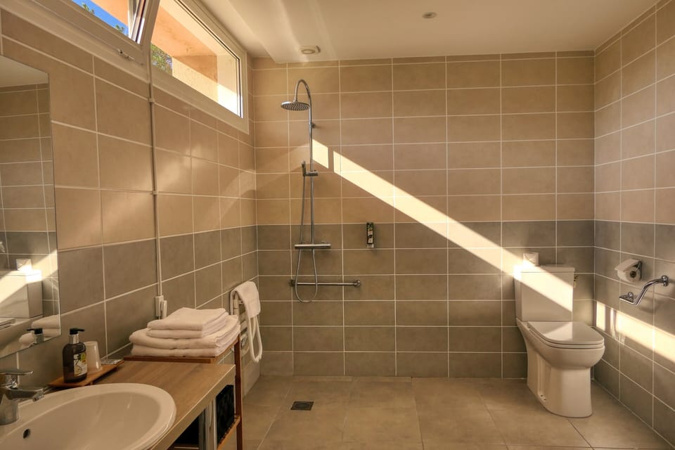 Superior Double Room | Bathroom | Free toiletries, hair dryer, towels