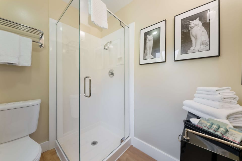 Shower, eco-friendly toiletries, hair dryer, bathrobes