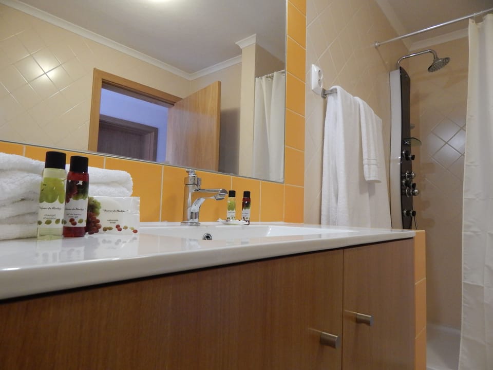 Comfort Double Room, 1 Queen Bed, Accessible, Vineyard View | Bathroom | Shower, hydromassage showerhead, free toiletries, hair dryer