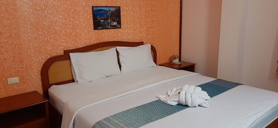 Deluxe Double Room, 1 King Bed, City View | Desk, blackout drapes, free WiFi, bed sheets