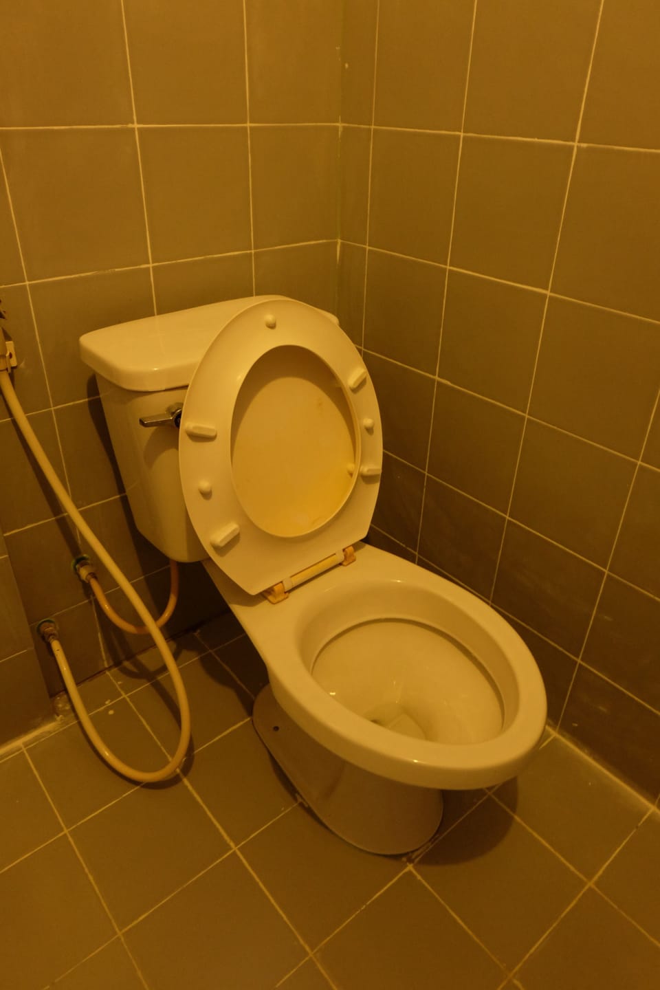 Shower, rainfall showerhead, free toiletries, towels