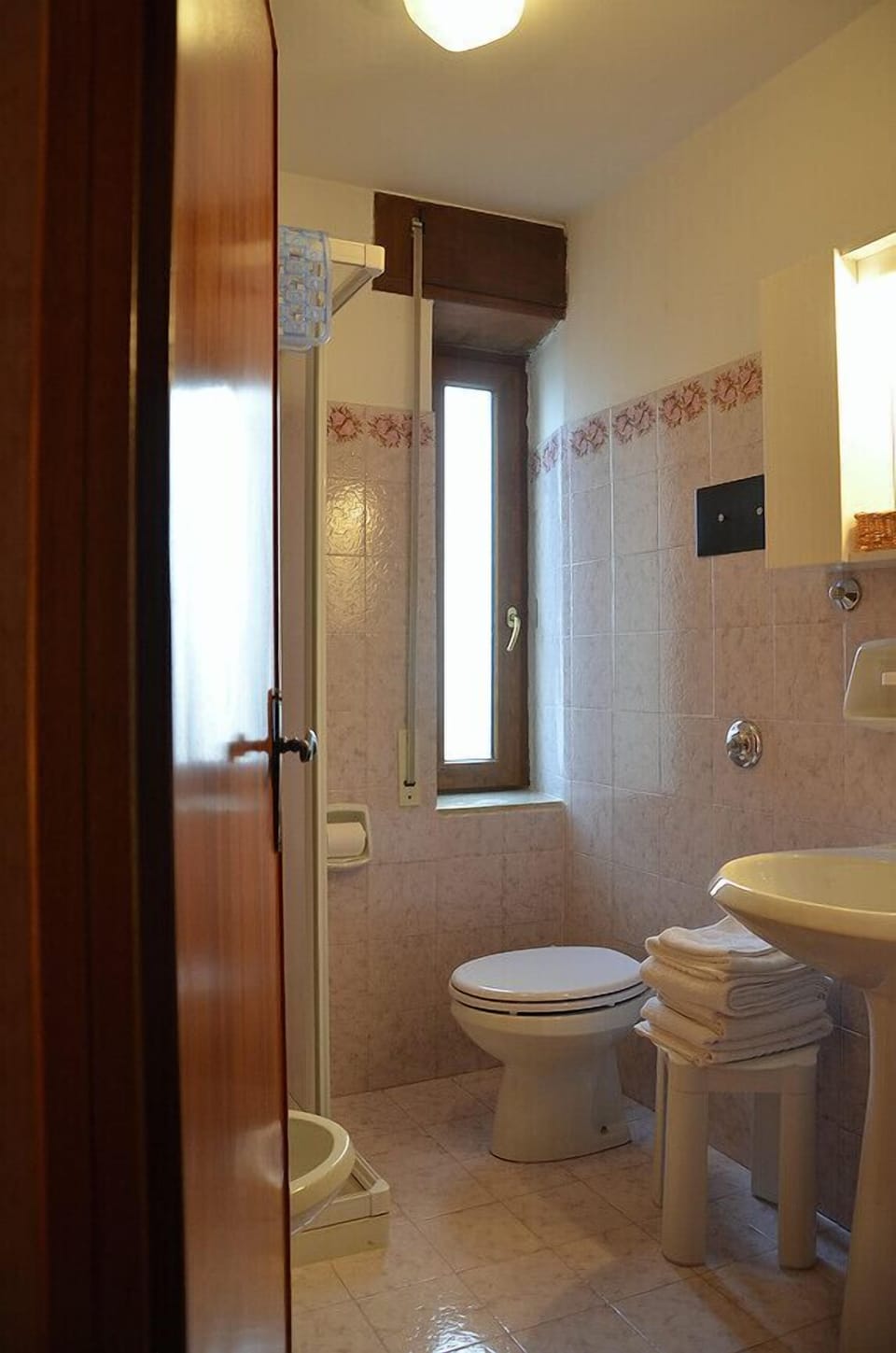 Hair dryer, soap, shampoo