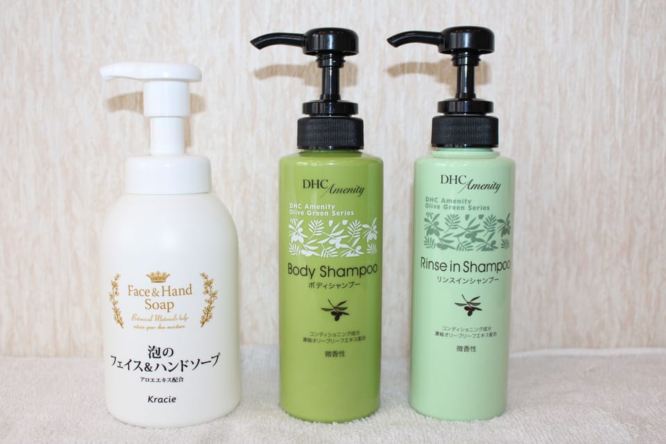 Combined shower/tub, free toiletries, hair dryer, slippers