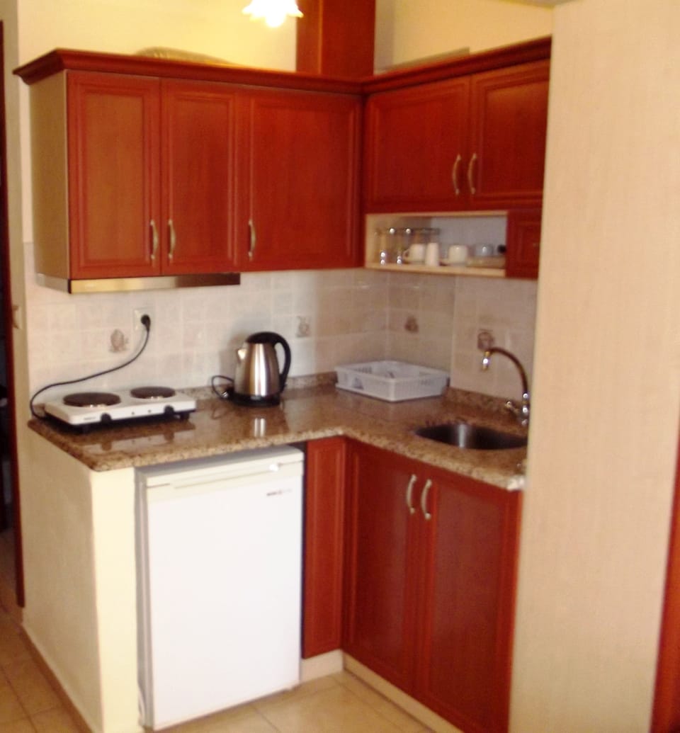 Standard Apartment | Private kitchen | Fridge, stovetop, electric kettle, toaster