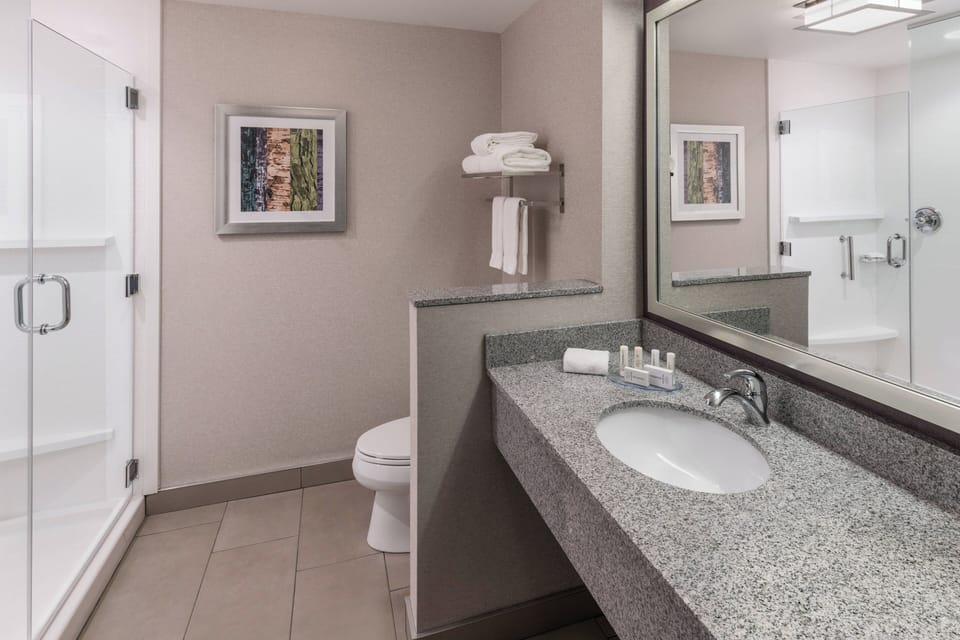 Combined shower/tub, free toiletries, hair dryer, towels