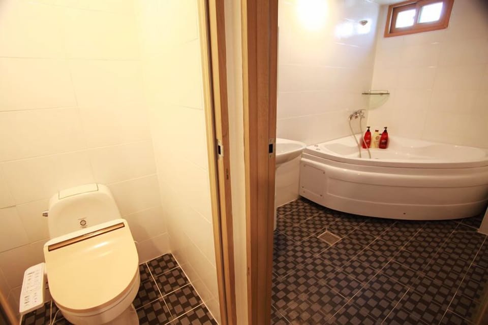 Combined shower/tub, free toiletries, hair dryer, bathrobes