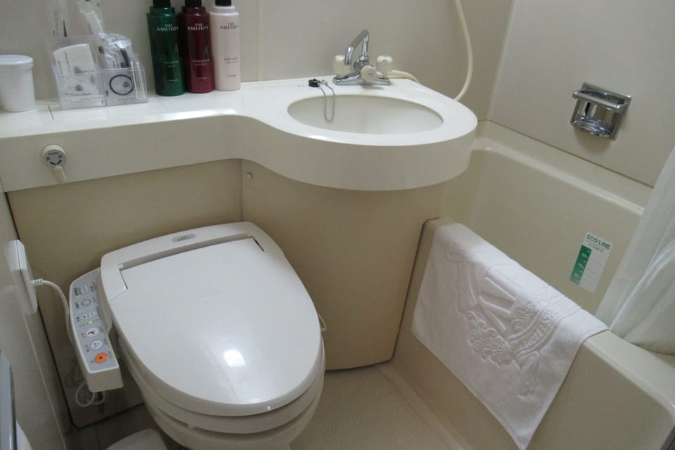 Combined shower/tub, free toiletries, hair dryer, slippers